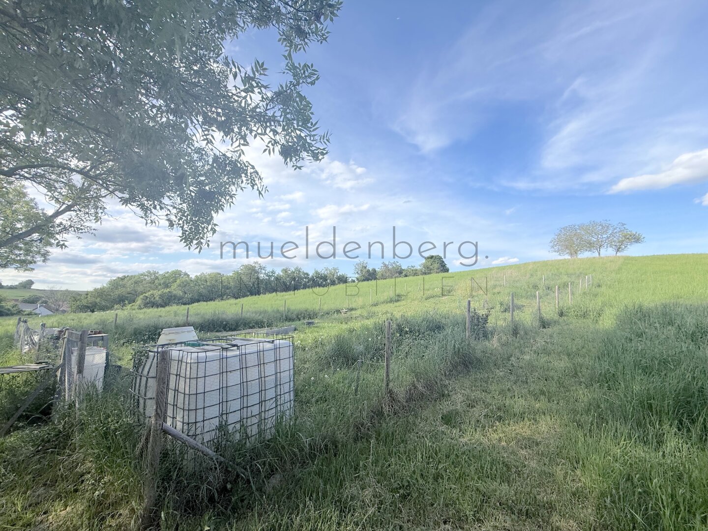 Großes Grundstück in 2105 Unterrohrbach – 5297m², €105.940