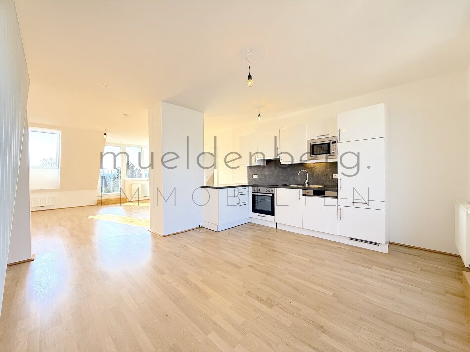 Stilvolle Dachgeschoßwohnung nahe der alten Donau mit 3 Terrassen!
