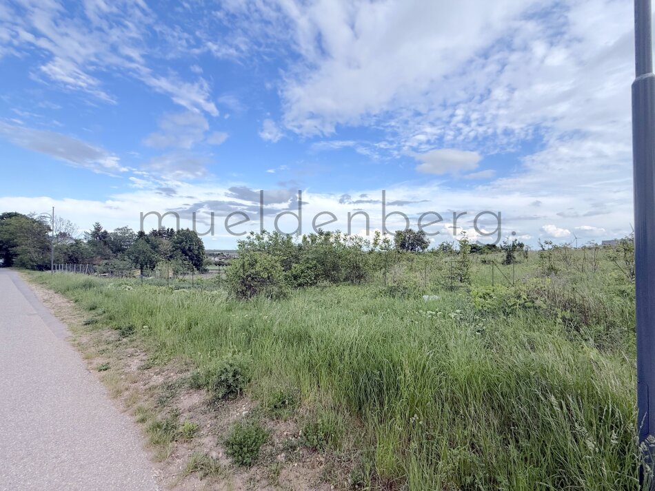 Baugrundstück 908m² in 2425 Nickelsdorf – Eigenheimtraum im Burgenland!