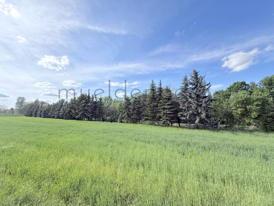Großes 1647m² Grundstück in Stetten, Niederösterreich