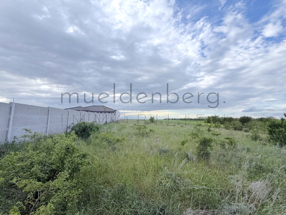 Großzügiges Baugrundstück 999m² in Nickelsdorf – Ihr Traum vom Eigenheim!