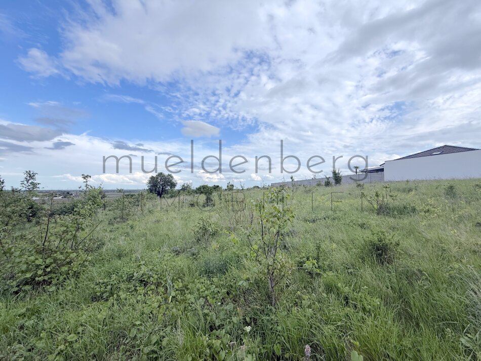 Großes Baugrundstück 985m² in Nickelsdorf!