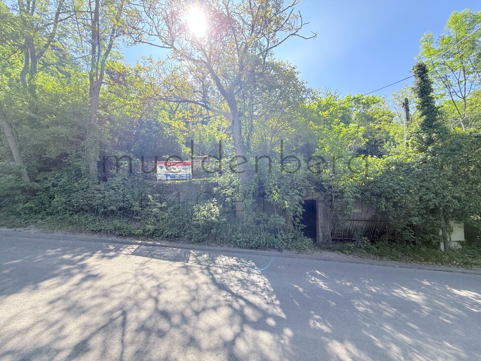 Großzügiges Baugrundstück 1025m² in Langenzersdorf – Ihr Traum vom Eigenheim!