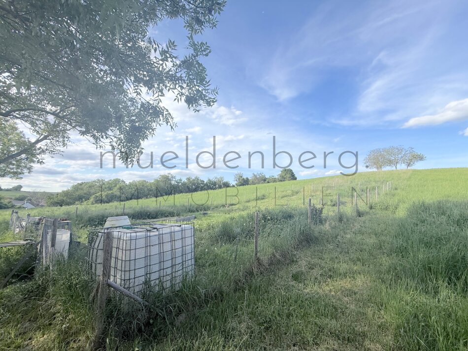 Großes Grundstück in 2105 Unterrohrbach – 5297m², €105.940