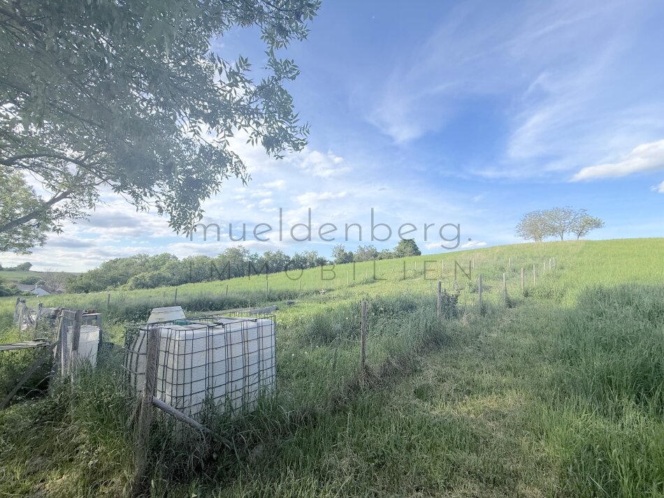 Großes Grundstück in 2105 Unterrohrbach – 5297m², €105.940