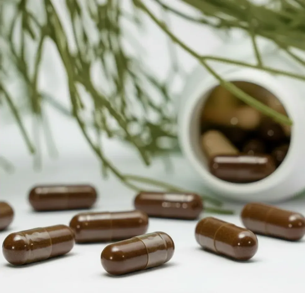 Brown capsules spilled from a white bottle with green plant stems in the background.