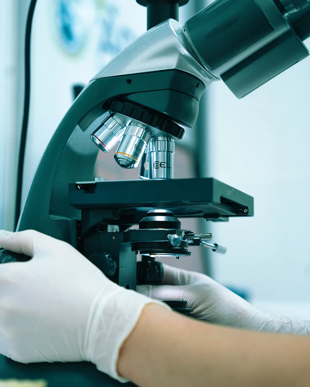 Gloved hands adjusting a compound microscope in a laboratory setting.