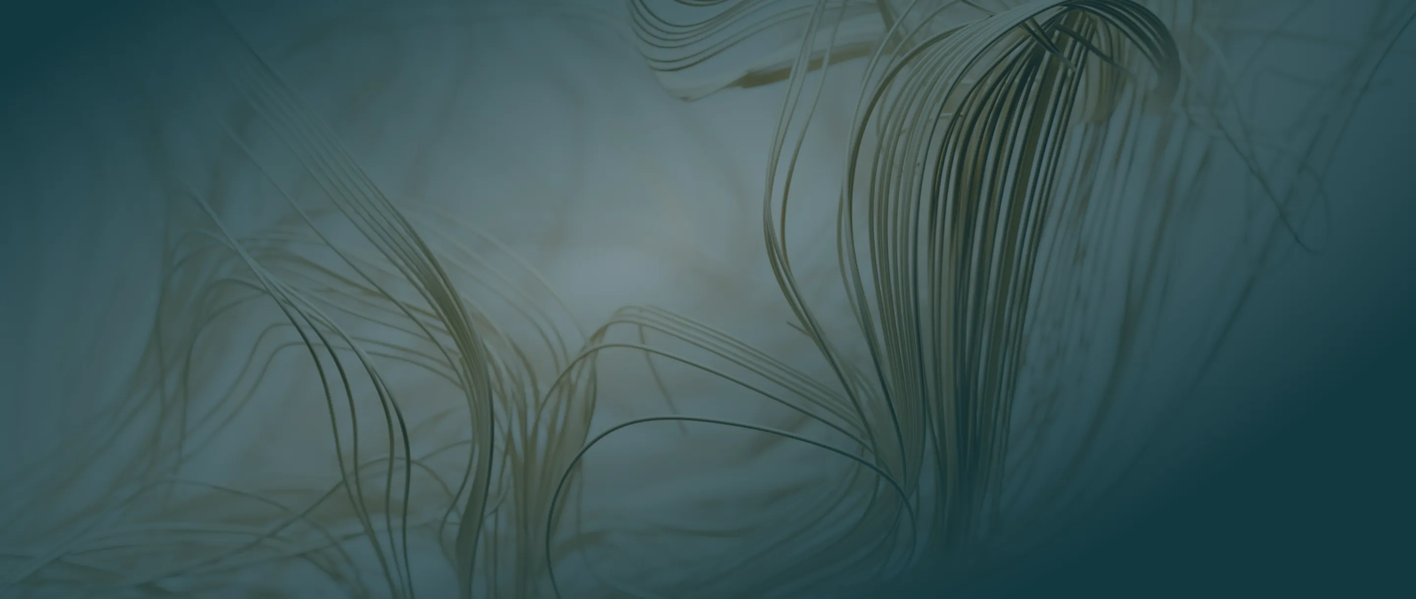 Abstract flowing thin lines forming organic shapes on a blue-gray gradient background.