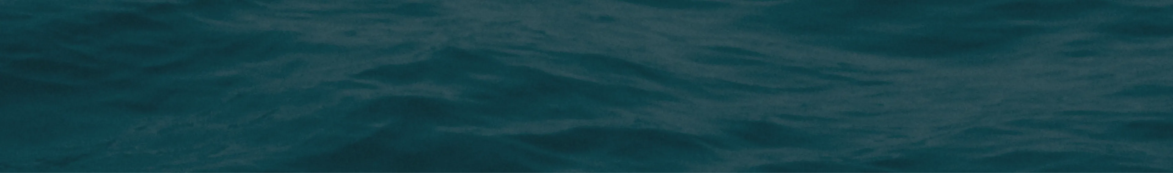 Dark teal water surface with gentle ripples and small waves.