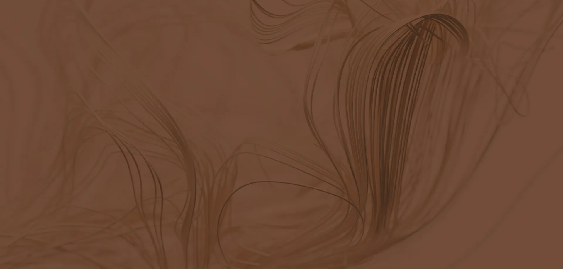 Abstract dark brown background with flowing thin curved lines creating a subtle wavy pattern.