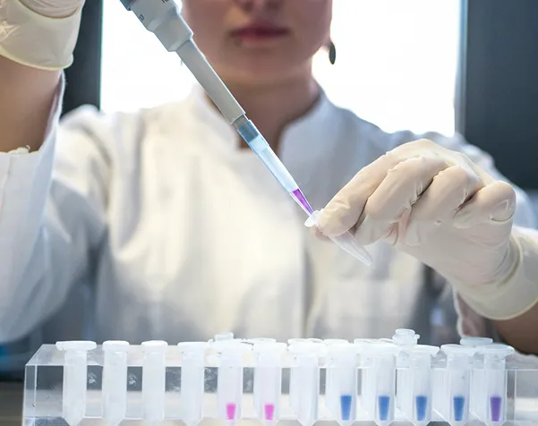 Scientist wearing gloves using a pipette to transfer purple liquid into test tubes in a lab.