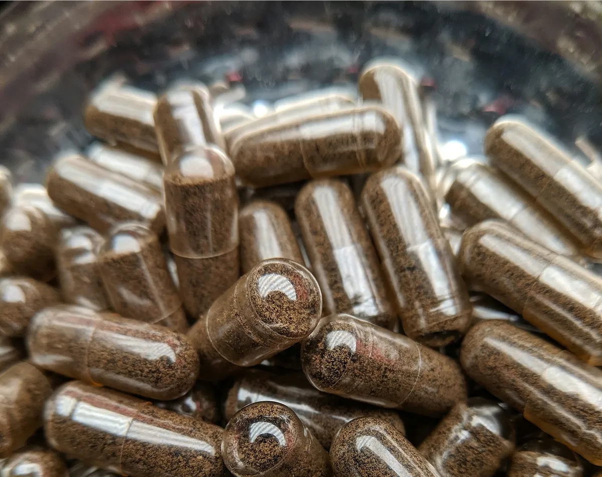 Close-up of transparent capsules filled with brown powder piled together.