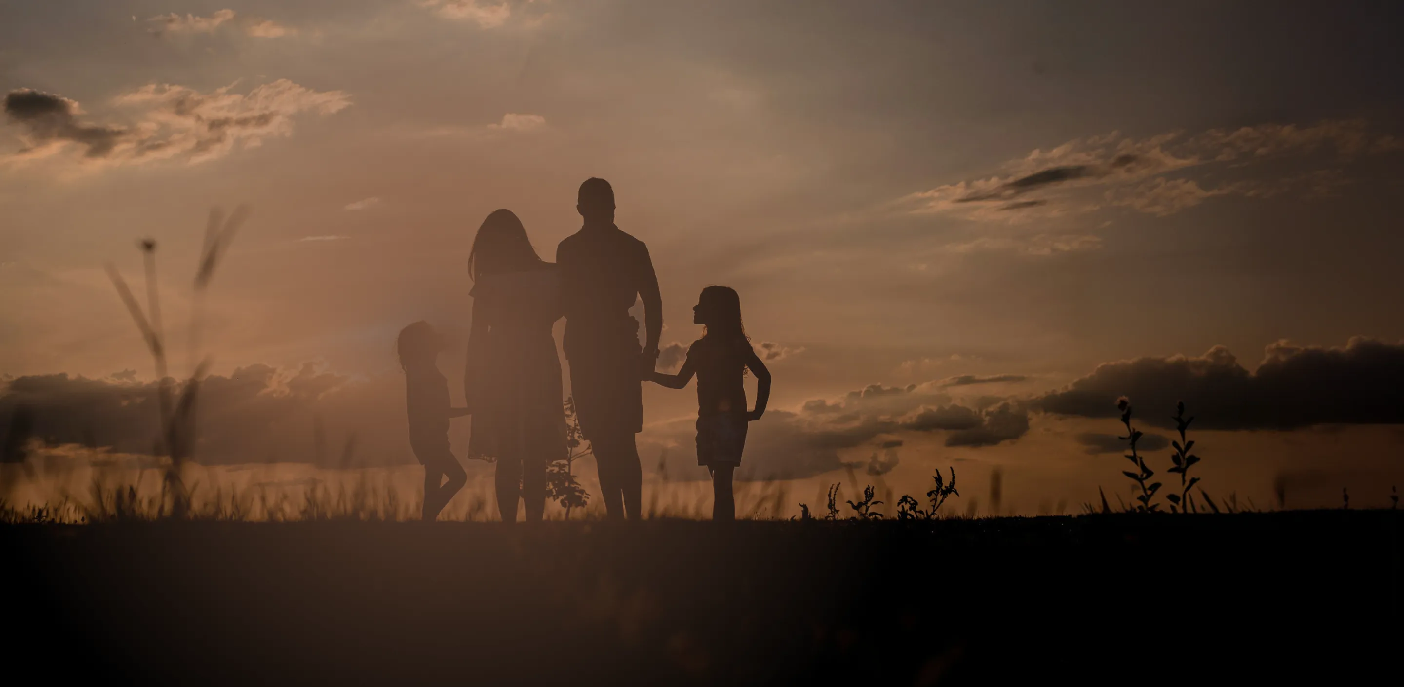 Silhouette of a family of four holding hands outdoors at sunset with grass and cloudy sky.
