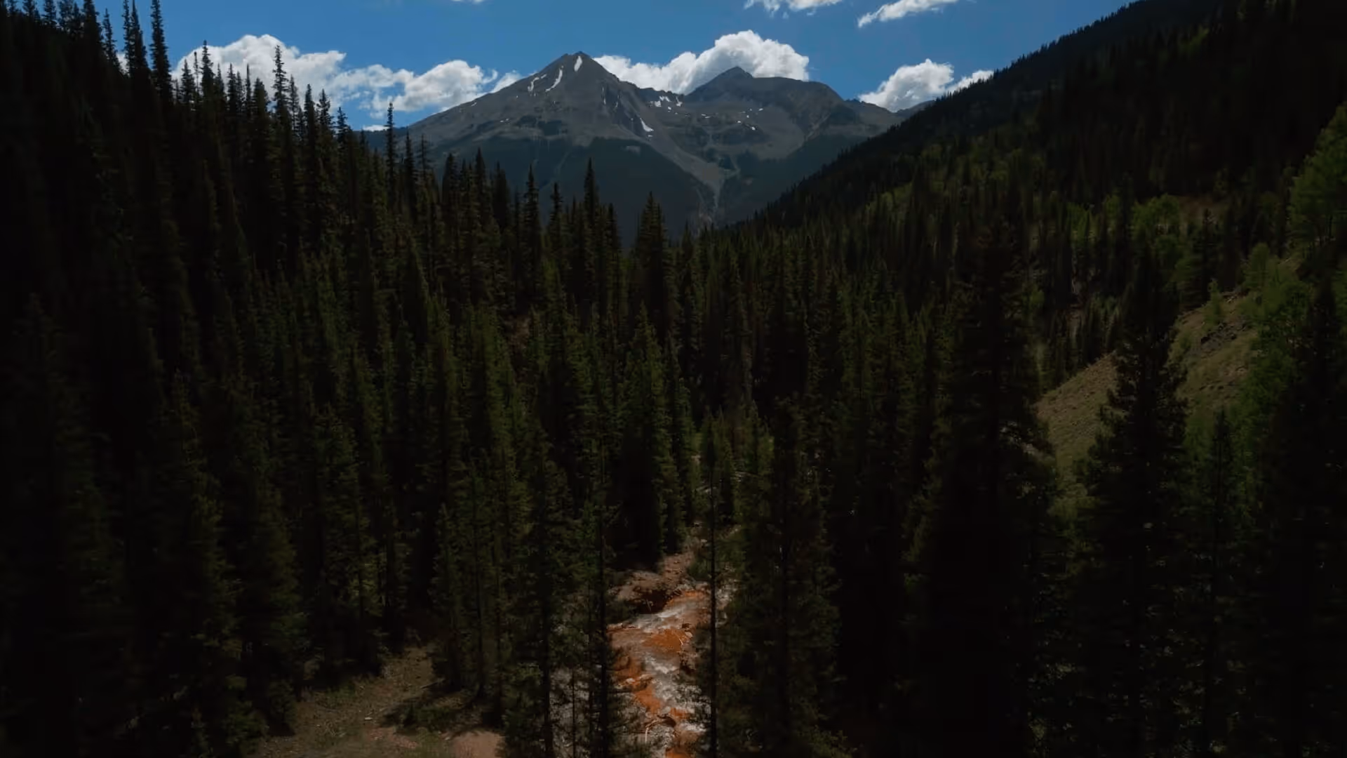 Pine forest with a small river flowing through it, mountains and blue sky with clouds in the background.