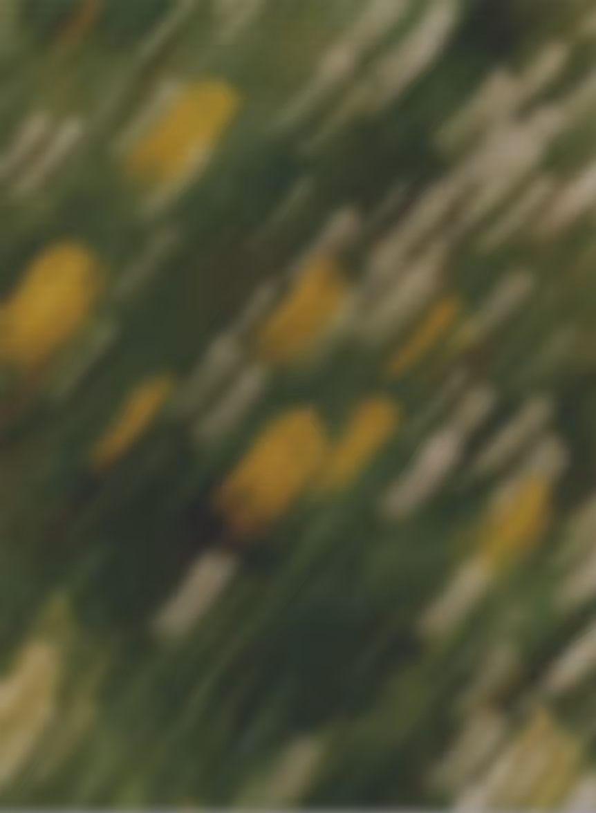 Blurred green and yellow shapes, possibly flowers and grass in an outdoor scene.