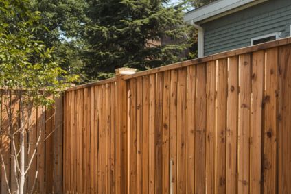 cedar fence by tree