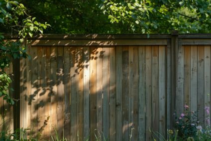 Cedar Fence Styles Compared: Privacy, Picket, Horizontal
