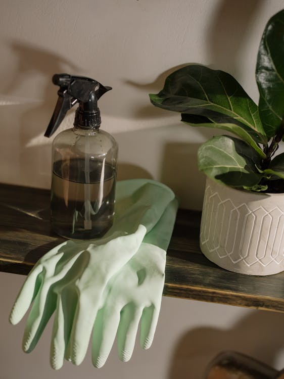 Cleaning spray bottle and supplies