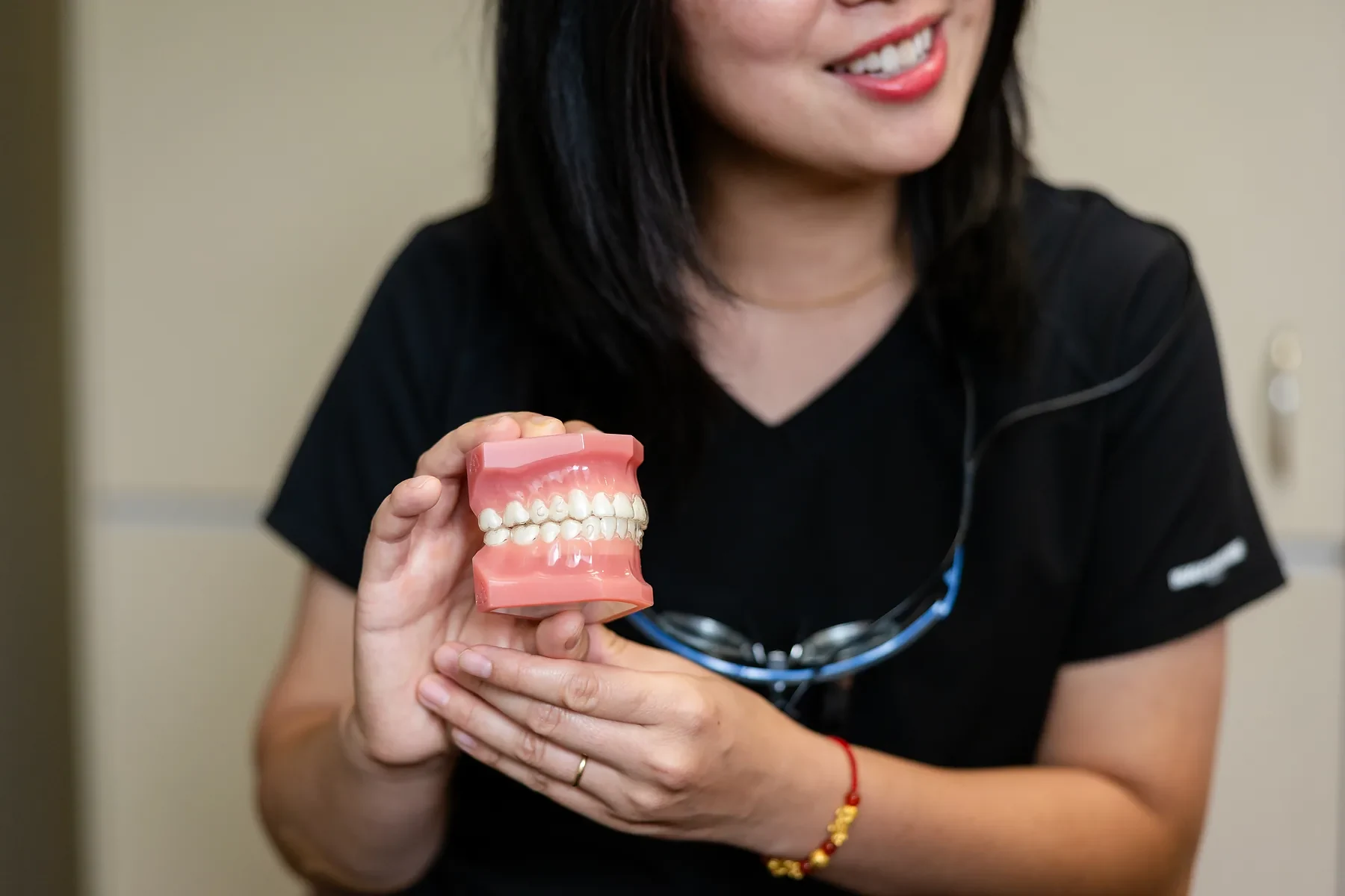 Dental team member holding a model of upper and lower teeth