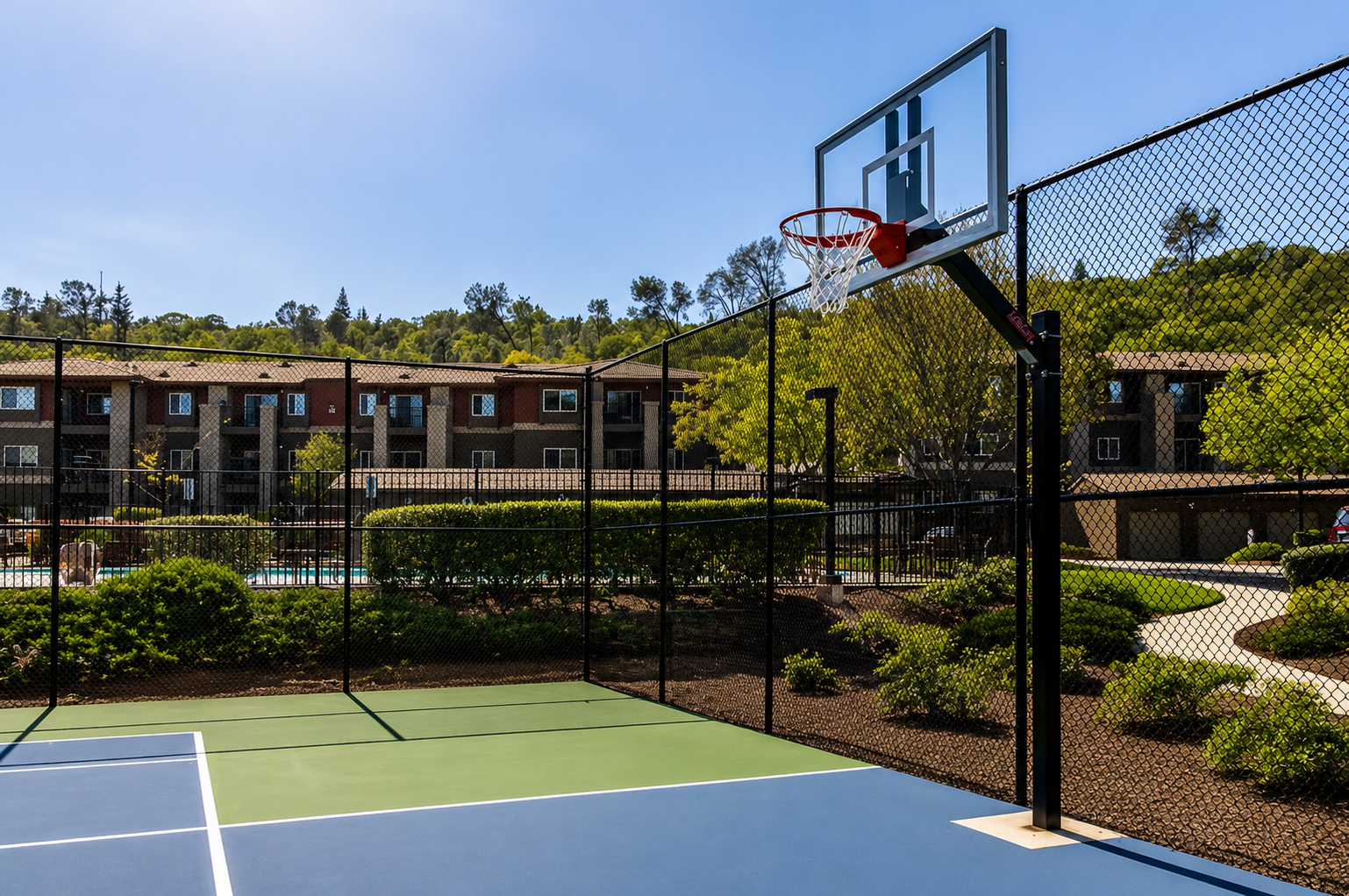 Basketball court