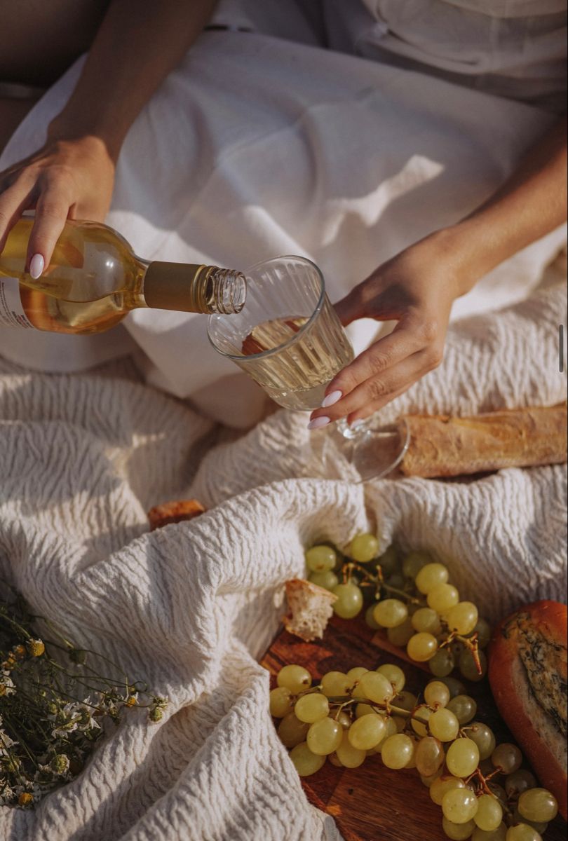 Wine picnic stock image
