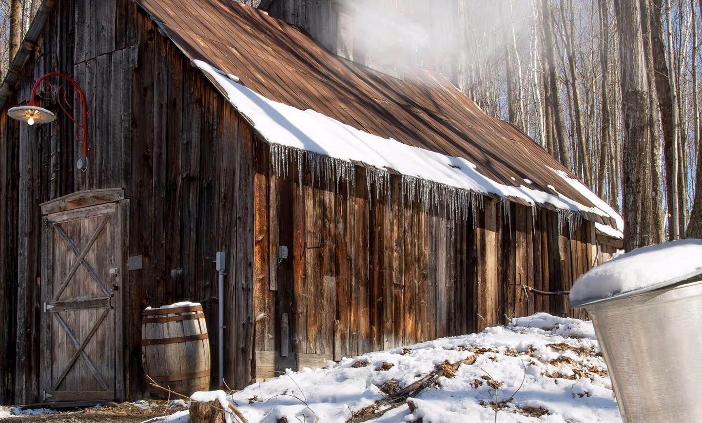Old wooden cabin with snow and icicles on roof, surrounded by leafless trees in winter. (Alain Bonnard, unsplash)