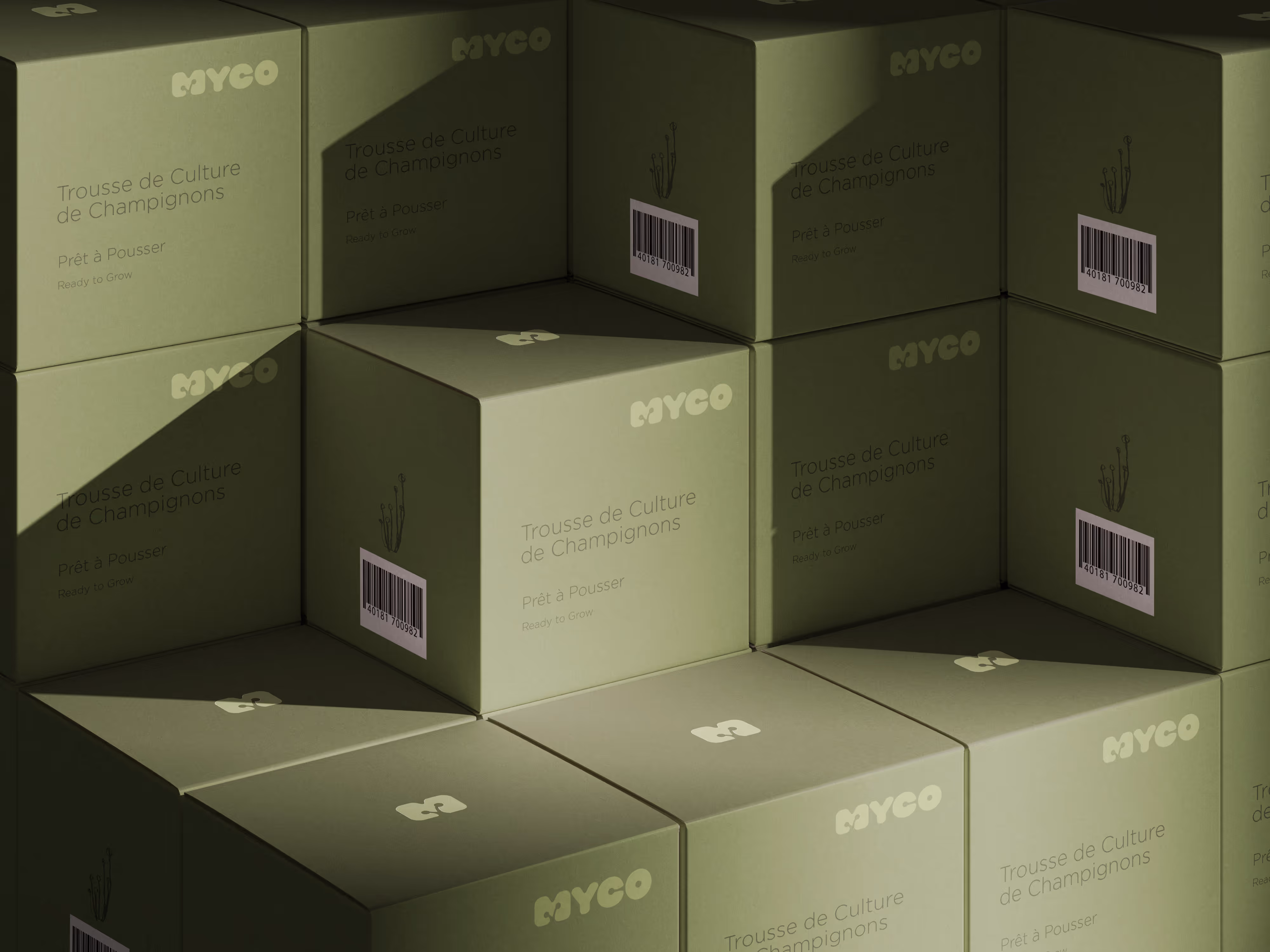 Stacked green MYCO boxes labeled "Trousse de Culture de Champignons" and "Prêt à Pousser" with barcodes. (mockups-design.com)