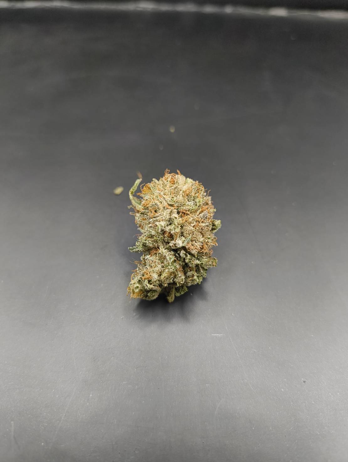 Khao Soi Kush cannabis flower