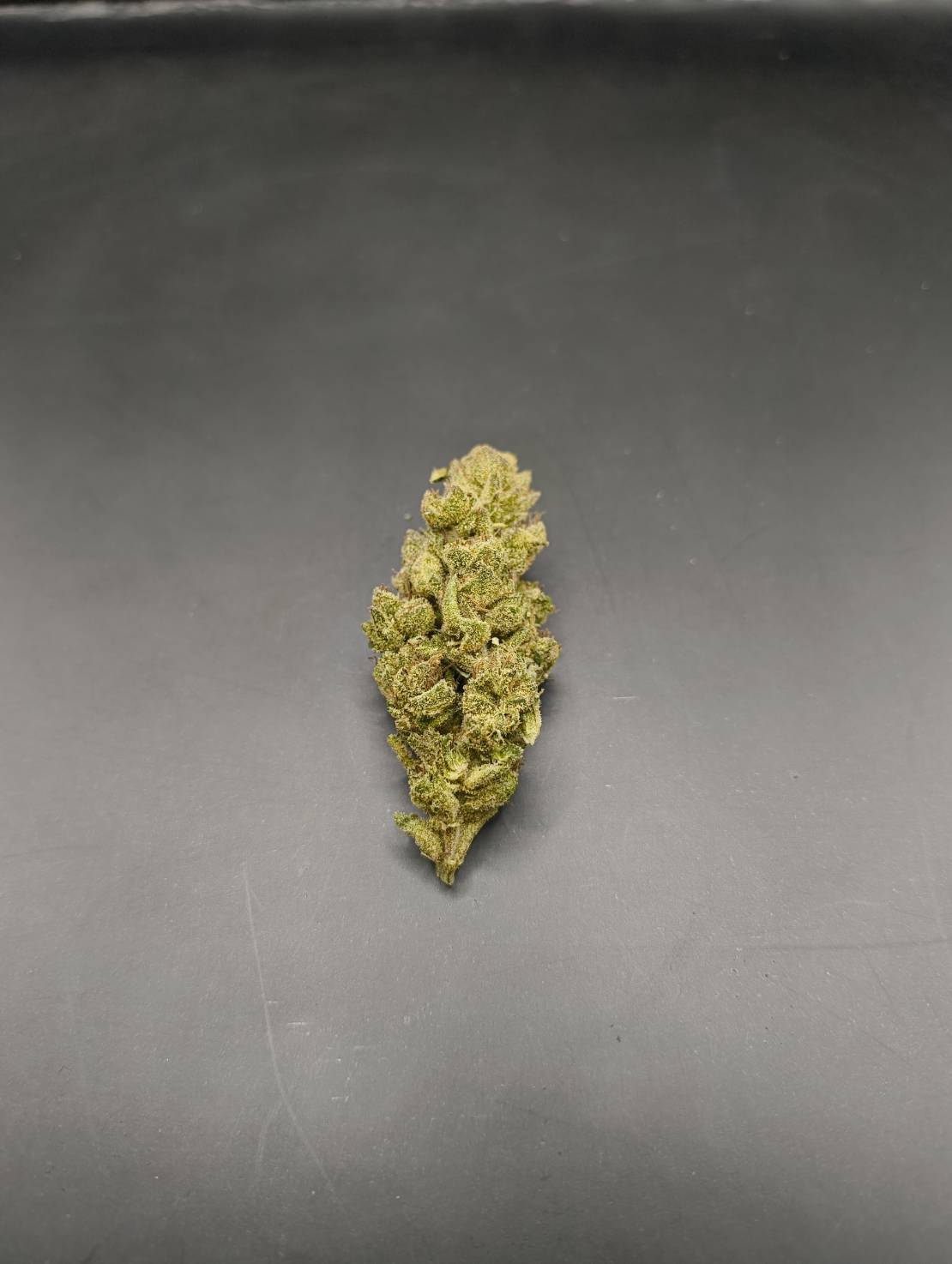 Skunk Funk cannabis flower