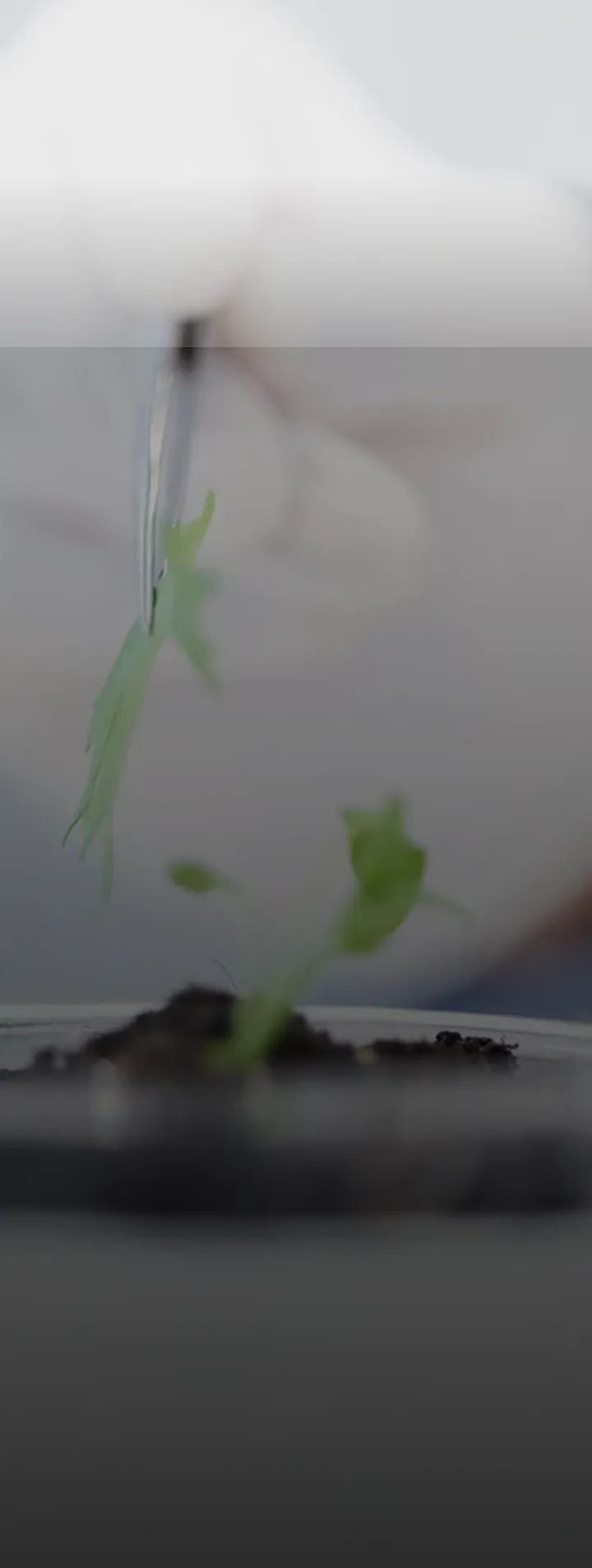Environmental impact