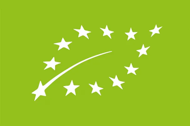 Certification 5