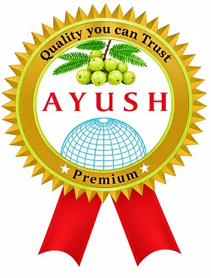 Certification 6