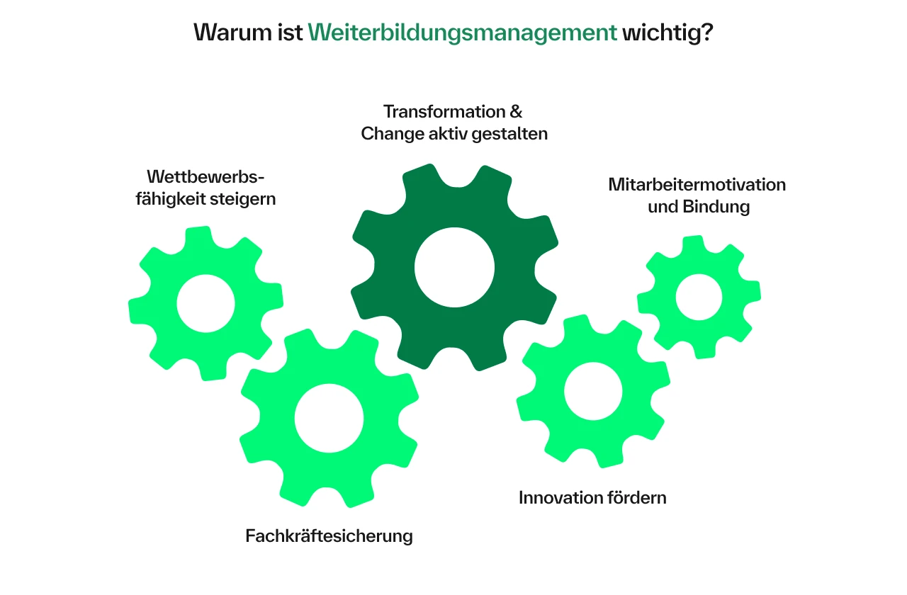 Grafik: Weiterbildungsmanagement