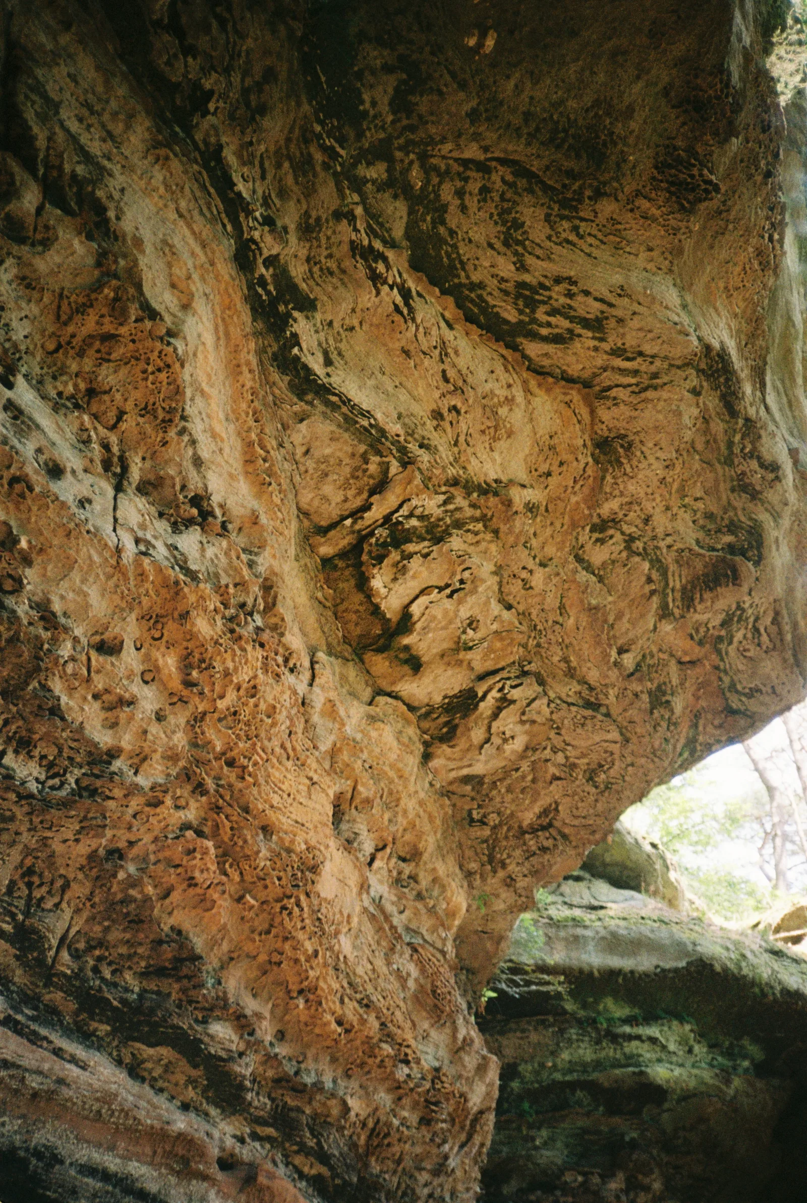 Nahaufnahme einer rauen, porösen Felsenwand mit braunen und grünlichen Schattierungen.