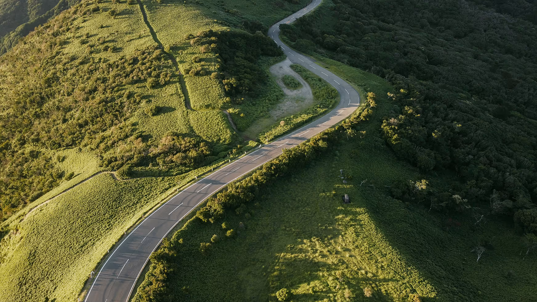 Winding road curves through lush green hills and dense forest under soft sunlight.
