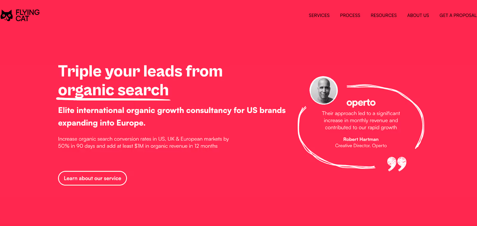 Flying Cat Marketing Homepage
