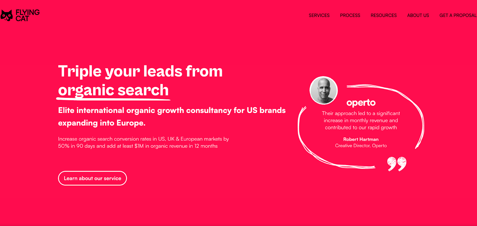 Flying Cat Marketing Homepage