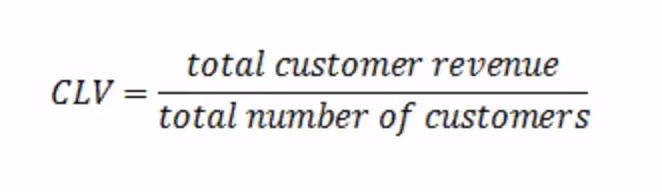 SaaS customer lifetime value