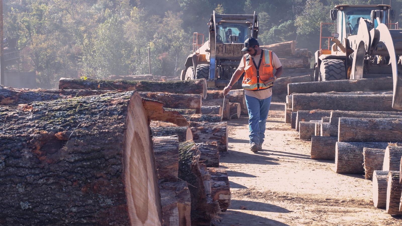 A worker walking between rows of logs at Parton Lumber's yard