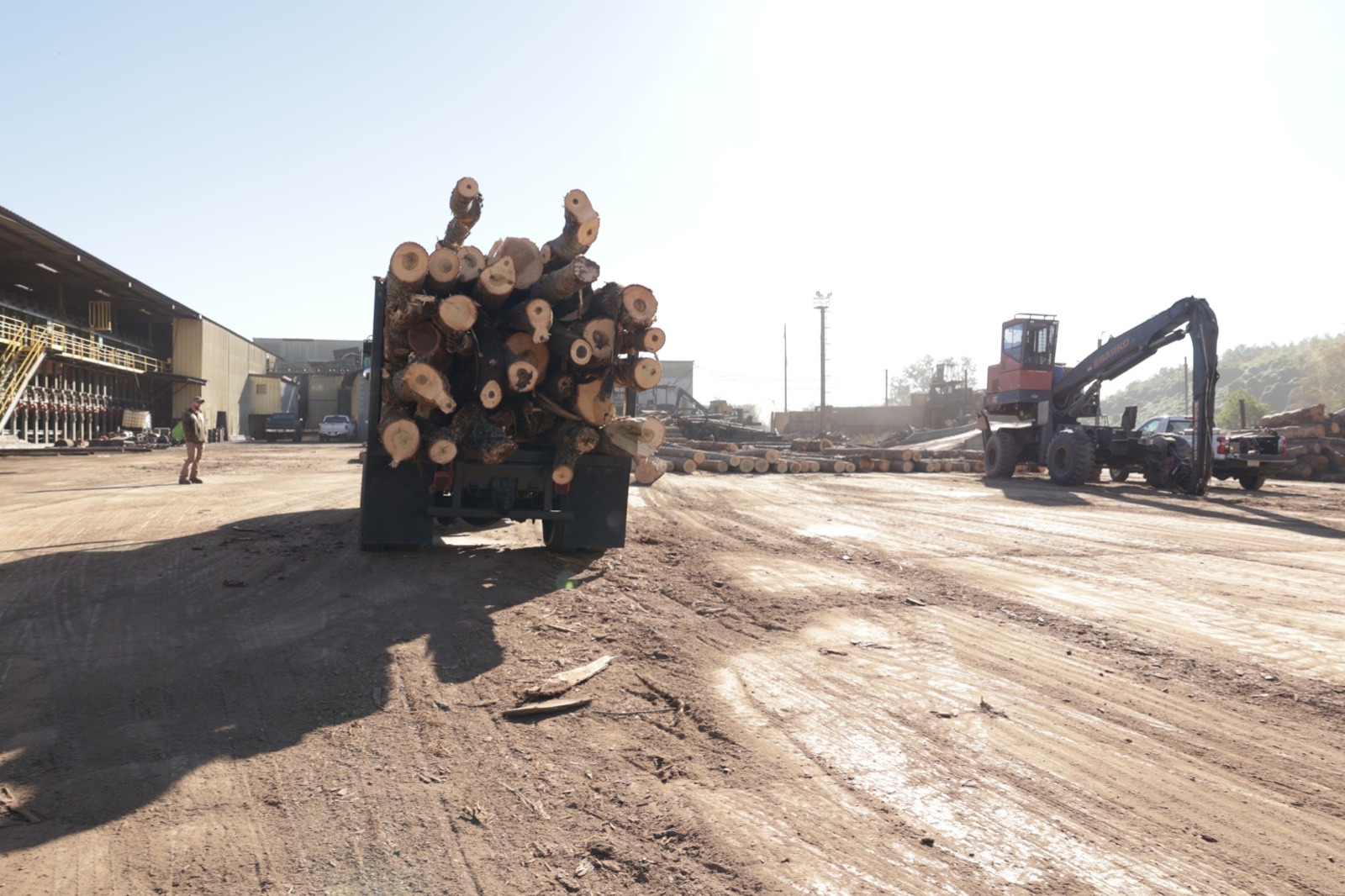 A truck loaded with logs in a sawmill yard