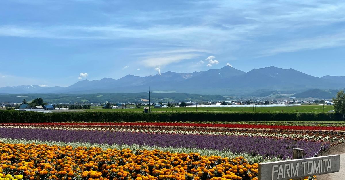 Colorful-flowers-in-bloom-in-Hokkaido-Japan