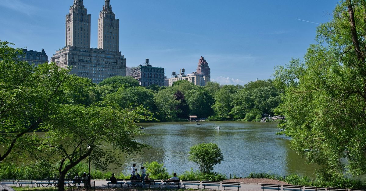 A-scenic-view-of-Central-Park-New-York-City