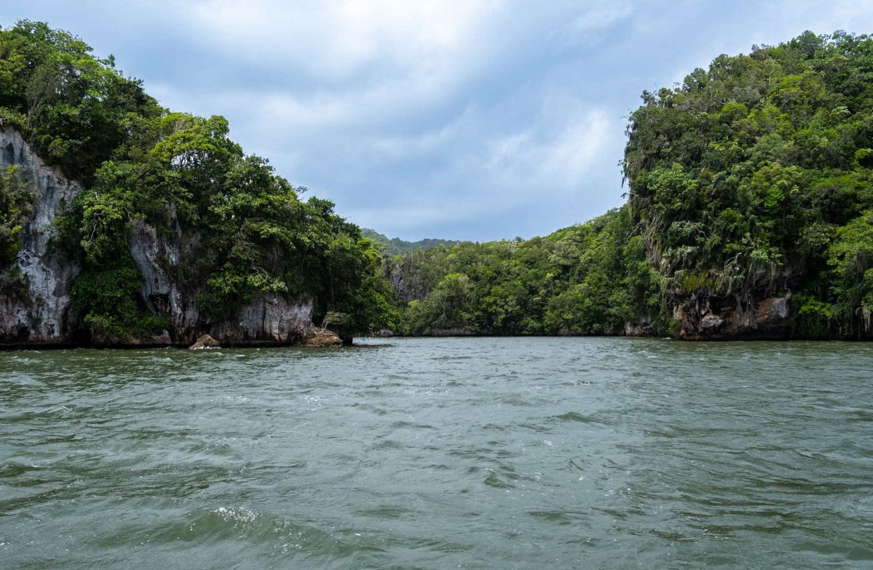 Limestone hills rising from a dense tropical mangrove.