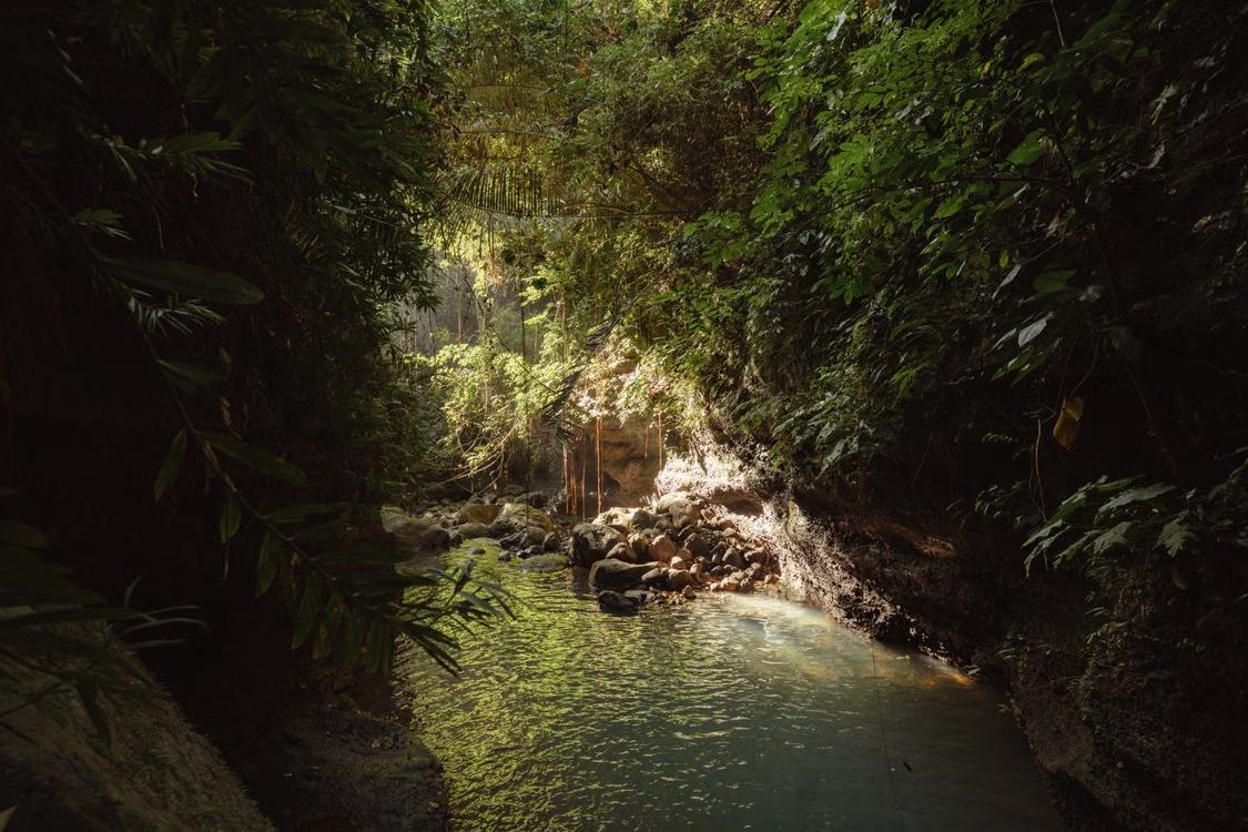 waterfall pool at the 27 Waterfalls of Damajagua Puerto Plata