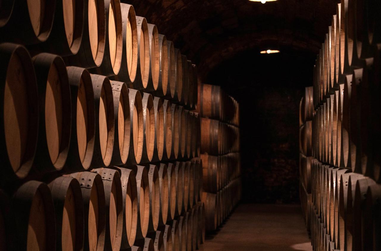 Rows of dark oak barrels ageing in a dimly lit underground cellar at the Brugal rum distillery Puerto Plata Dominican Republic