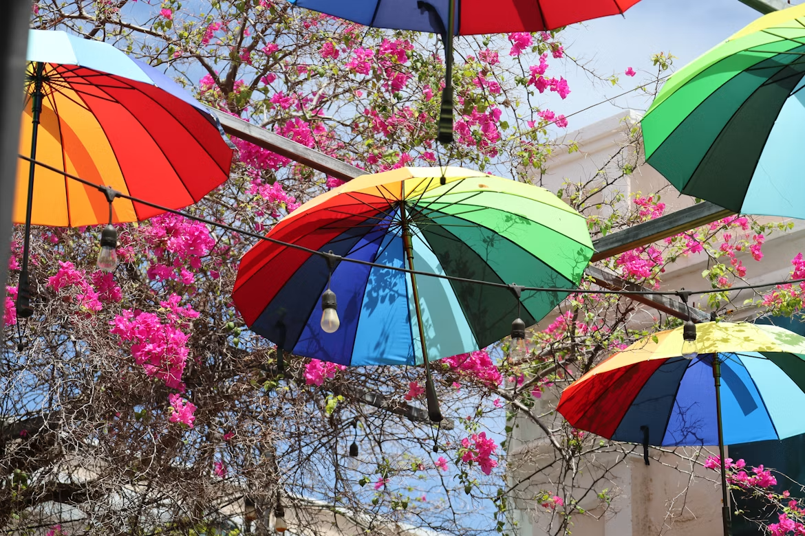 Colourful hanging umbrellas above pink flowers on Umbrella Street Puerto Plata