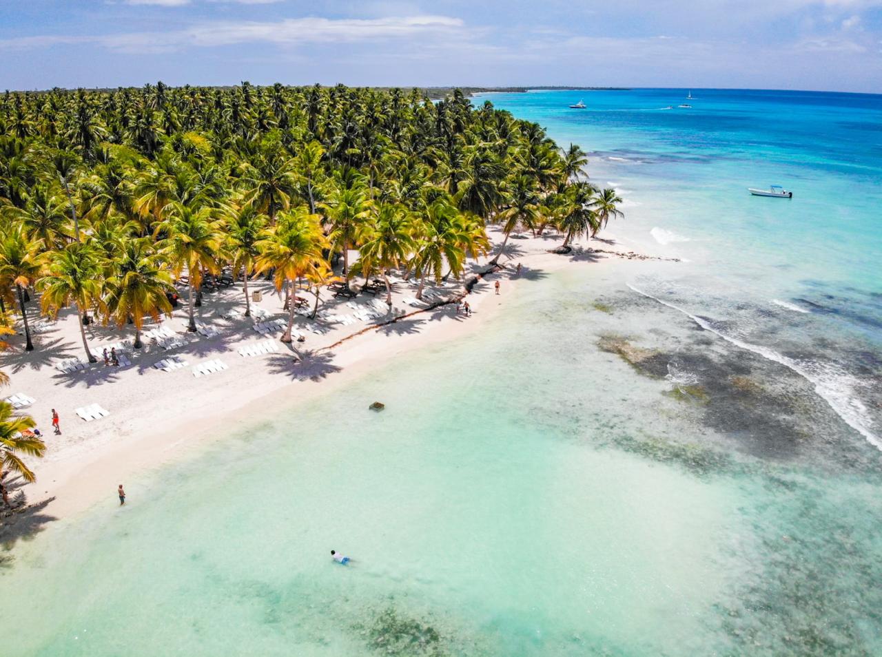 coconut-lined white sand beach at Punta Cana