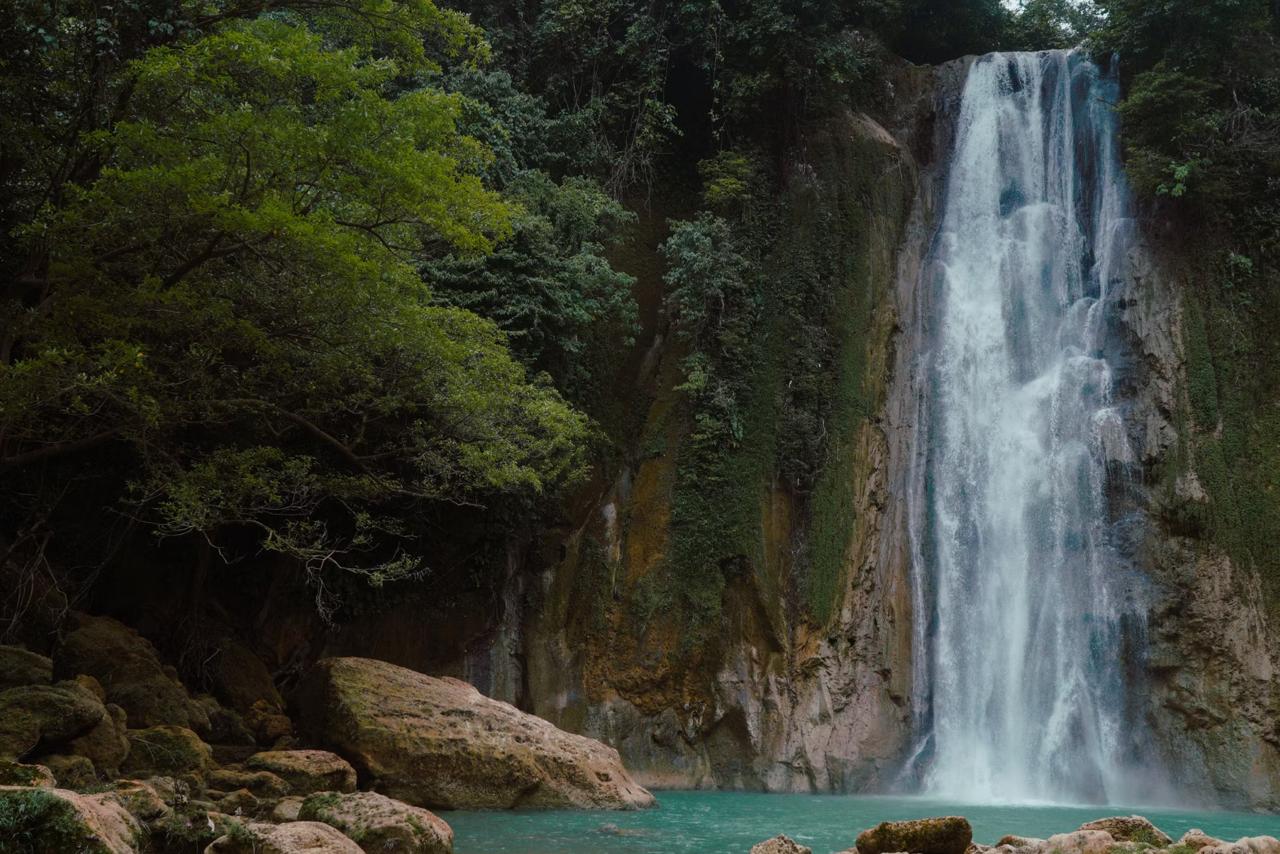 El Limón waterfall surrounded by green forest on the Samaná Peninsula in the Dominican Republic