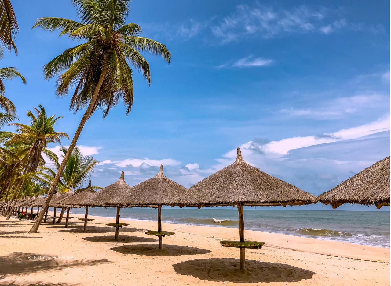 Row of thatched beach umbrellas casting shadows on golden sand beside coconut palms and a calm tropical sea under a blue sky.