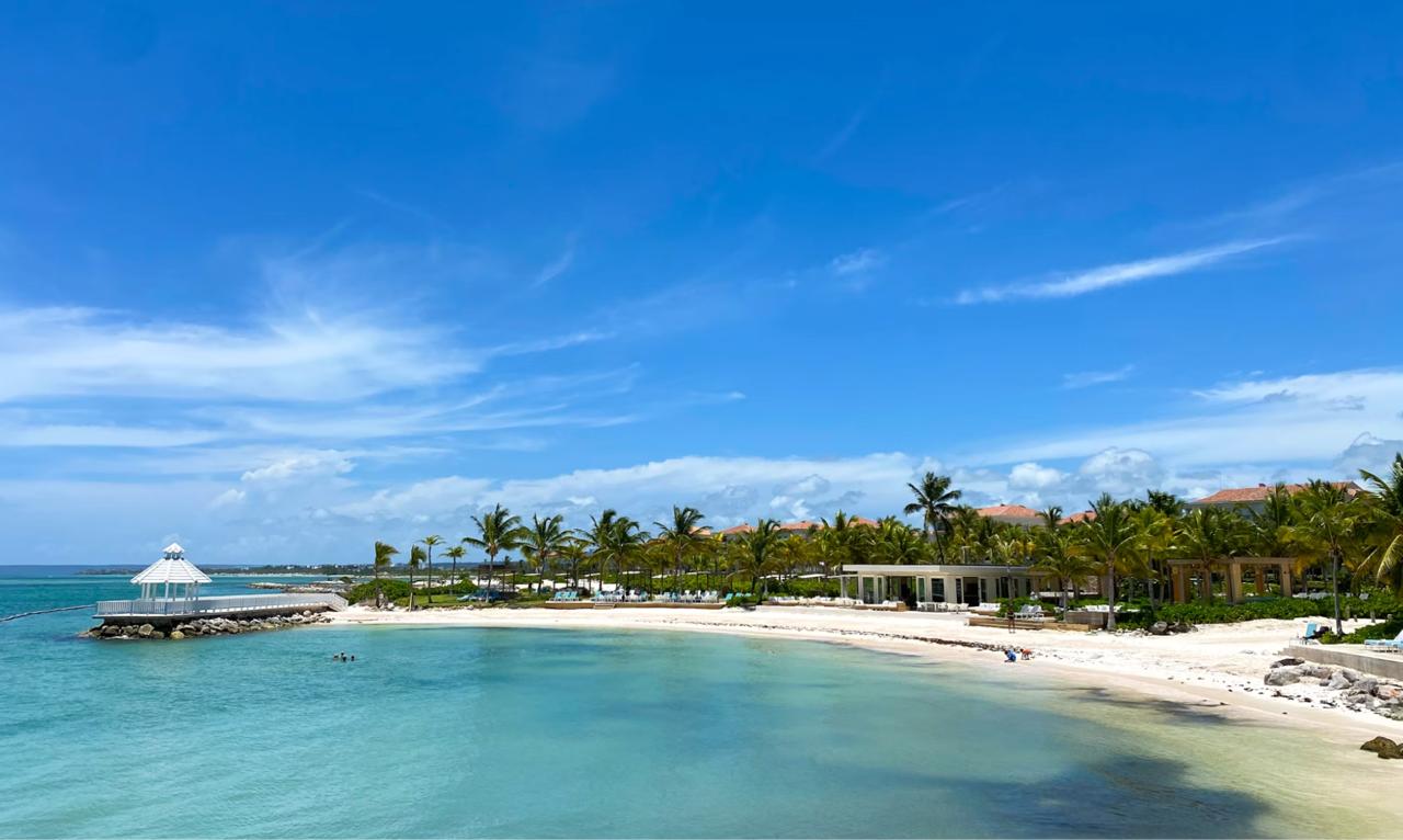 Punta Cana palm trees and white beach
